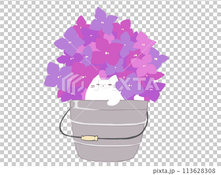 あじさいねこ 113628308