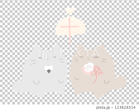 已婚貓 已婚貓 113628314