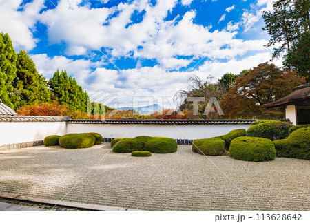 秋の京都　正伝寺　方丈庭園 113628642