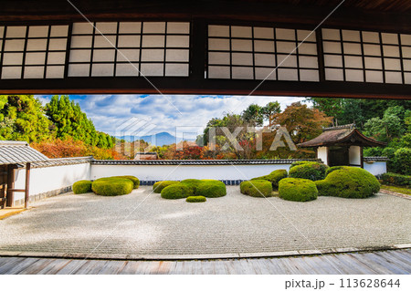 秋の京都　正伝寺　方丈庭園 113628644