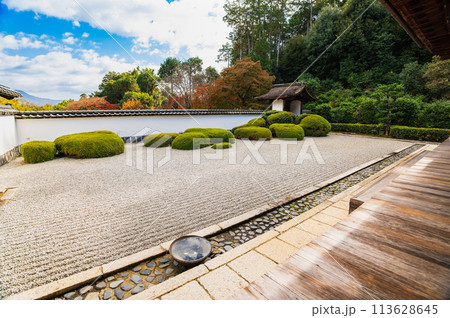 秋の京都　正伝寺　方丈庭園 113628645