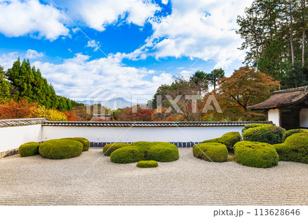 秋の京都　正伝寺　方丈庭園 113628646