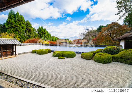 秋の京都　正伝寺　方丈庭園 113628647