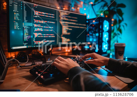 プログラミングする男性 プログラミングする男性 113628706
