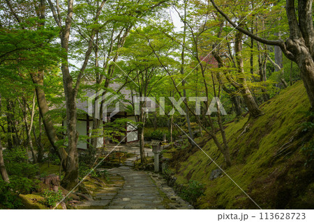 常寂光寺 113628723