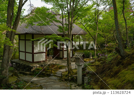 常寂光寺 常寂光寺 113628724