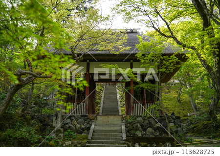 常寂光寺 常寂光寺 113628725