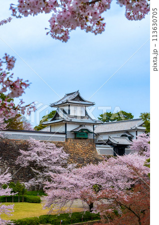 春の陽気に包まれ満開に咲く桜と金沢城公園の石川門の風景｜観光イメージ｜石川県金沢市 113630705