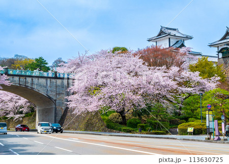 春の陽気に包まれ満開に咲く桜と金沢城公園の石川門の風景|観光イメージ|石川県金沢市 春の陽気に包まれ満開に咲く桜と金沢城公園の石川門の風景|観光イメージ|石川県金沢市 113630725