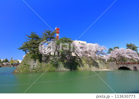 【福井県】快晴の福井城跡と満開の桜(御廊下橋と御本城橋) 【福井県】快晴の福井城跡と満開の桜(御廊下橋と御本城橋) 113630773