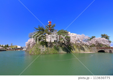 【福井県】快晴の福井城跡と満開の桜（御廊下橋と御本城橋） 113630775