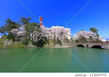 【福井県】快晴の福井城跡と満開の桜（御本城橋） 113630778