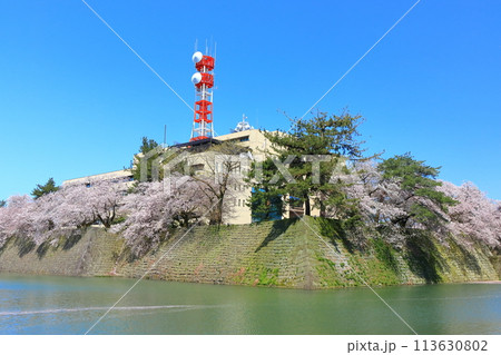 【福井県】快晴の福井城跡と満開の桜 113630802
