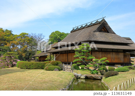 岡山後楽園 延養亭と桜 岡山後楽園 延養亭と桜 113631149