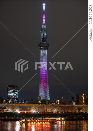 東京スカイツリーと夜桜 東京スカイツリーと夜桜 113631208