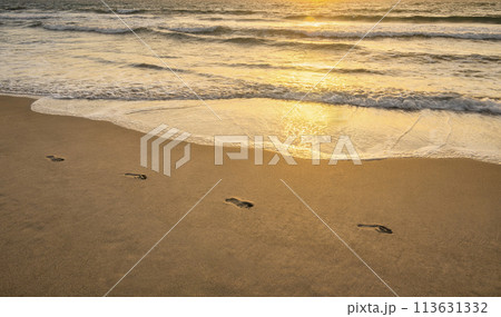 Footprints on sandy beach at sunset 113631332