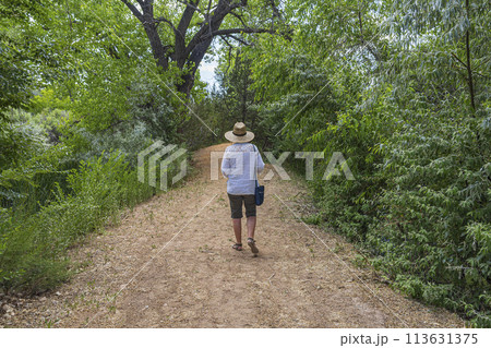 Rear view of woman walking on footpath in High Desert oasis 113631375