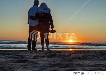 Rear view of couple standing at Cannon Beach at sunset 113631439