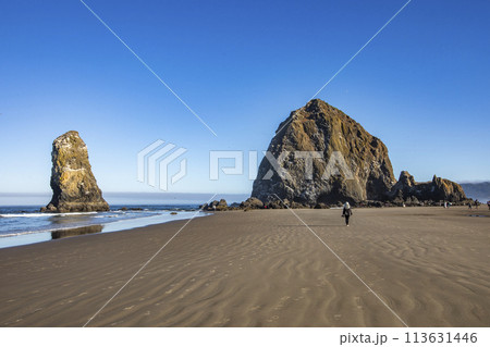 USA, Oregon, Rear view of woman walking near Haystack Rock at Cannon Beach 113631446