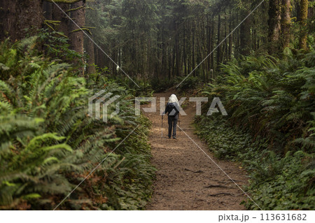 Senior woman hiking in forest with nordic walking poles Senior woman hiking in forest with nordic walking poles 113631682