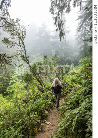 Senior woman hiking on hill with nordic walking poles Senior woman hiking on hill with nordic walking poles 113631684
