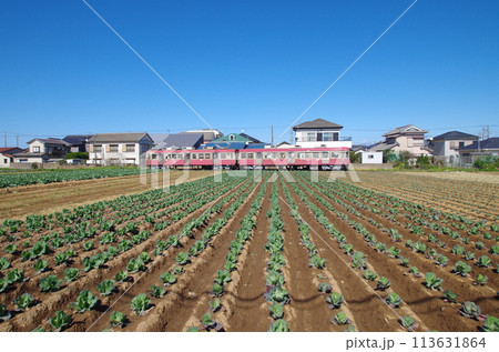 銚子電鉄と畑 銚子電鉄と畑 113631864