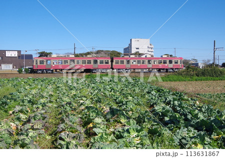 銚子電鉄　犬吠駅付近 113631867