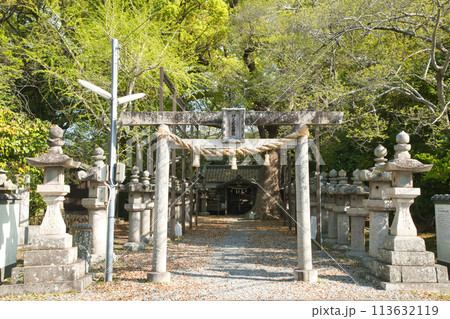 伊久比売神社(鳥居･拝殿)　【和歌山県和歌山市市小路】 113632119