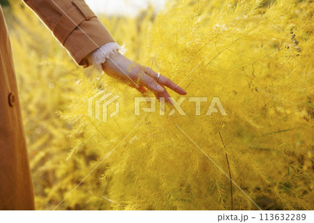 Woman in trench coat touching crop  113632289