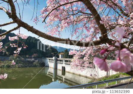 初瀬ダム 【奈良県桜井市初瀬】 初瀬ダム 【奈良県桜井市初瀬】 113632390