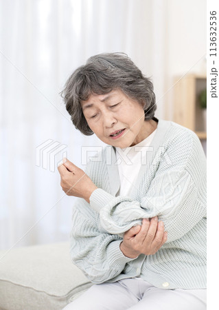 肘が痛いシニア女性　肘痛　関節痛 113632536