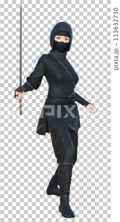 Ninja ☆ Ninja Ninja ☆ Ninja 113632730