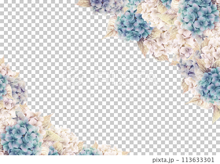 青と白の紫陽花フレーム 113633301