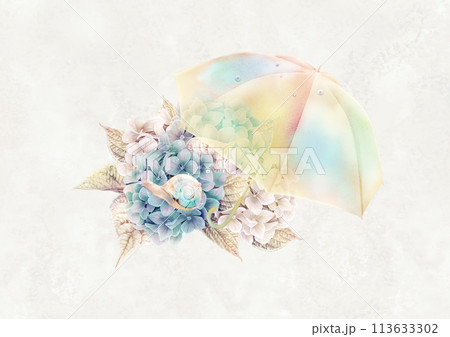 傘と紫陽花とカタツムリの梅雨の挿絵素材 113633302