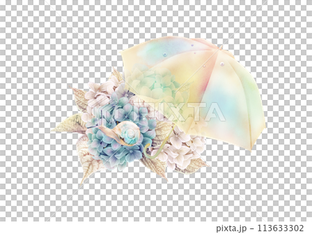 傘と紫陽花とカタツムリの梅雨の挿絵素材 113633302