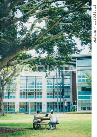 緑豊かなアメリカの大学のキャンパスで学習する学生 113633313