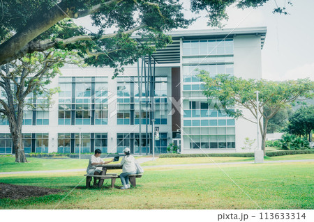 緑豊かなアメリカの大学のキャンパスで学習する学生 緑豊かなアメリカの大学のキャンパスで学習する学生 113633314