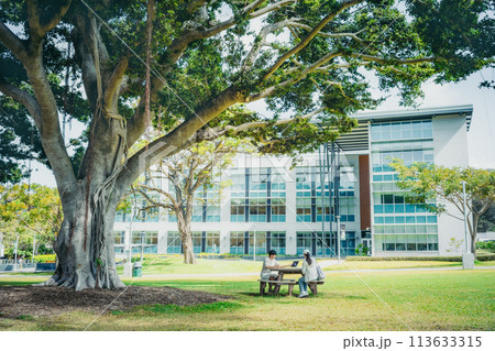 緑豊かなアメリカの大学のキャンパスで学習する学生 113633315