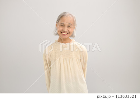 シニア女性のポートレート シニア女性のポートレート 113633321