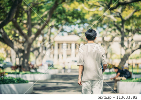 緑豊かなアメリカの大学のキャンパスを歩く学生 緑豊かなアメリカの大学のキャンパスを歩く学生 113633592