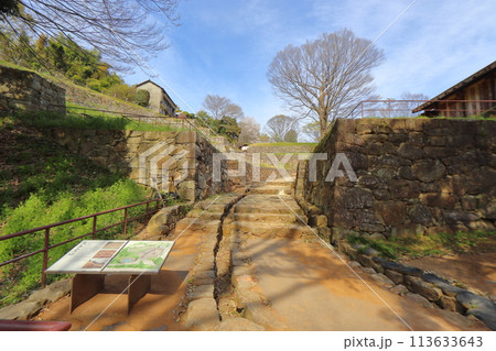 金山城跡 大手虎口の石垣（群馬県 太田市） 113633643