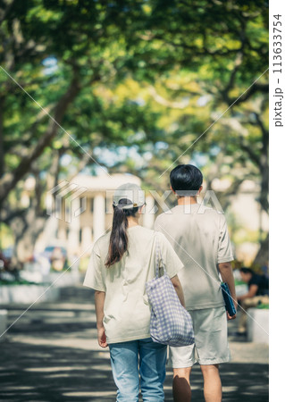 緑豊かなアメリカの大学のキャンパスを歩く学生 113633754