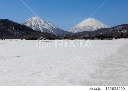 尻別岳と羊蹄山 113633990