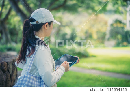 緑豊かなアメリカの大学のキャンパスで学ぶ学生 緑豊かなアメリカの大学のキャンパスで学ぶ学生 113634136