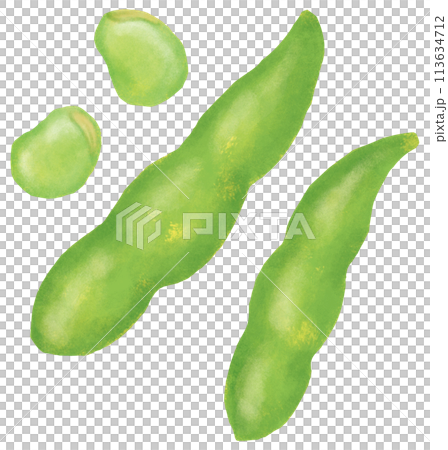 シンプルな空豆のイラスト 113634712