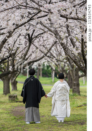 和装結婚イメージ 和装結婚イメージ 113634745