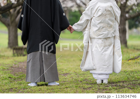 和装結婚イメージ 和装結婚イメージ 113634746
