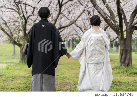 和装結婚イメージ 和装結婚イメージ 113634749