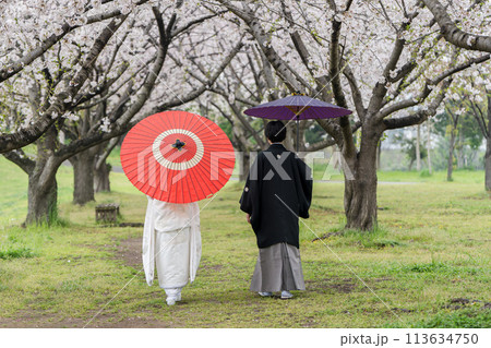 和装結婚イメージ 113634750