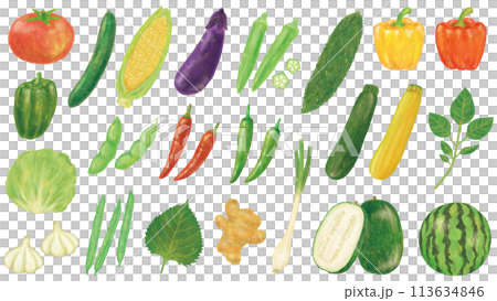 Summer vegetable illustration set Summer vegetable illustration set 113634846